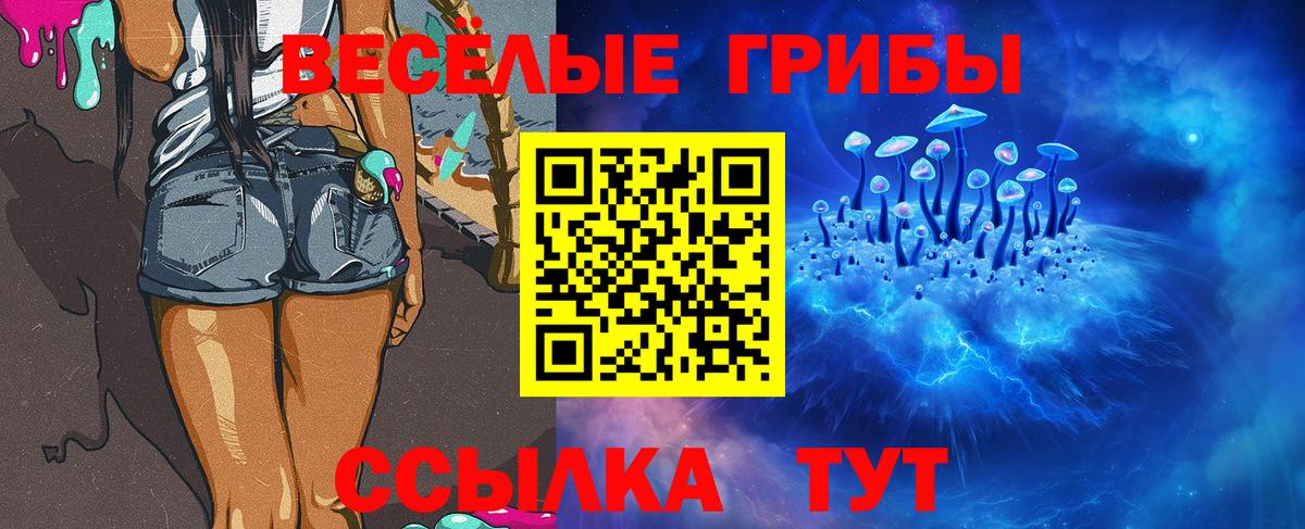 наркошоп  Вход с VPN  Малгобек  Галлюциногенные грибы Psilocybe 