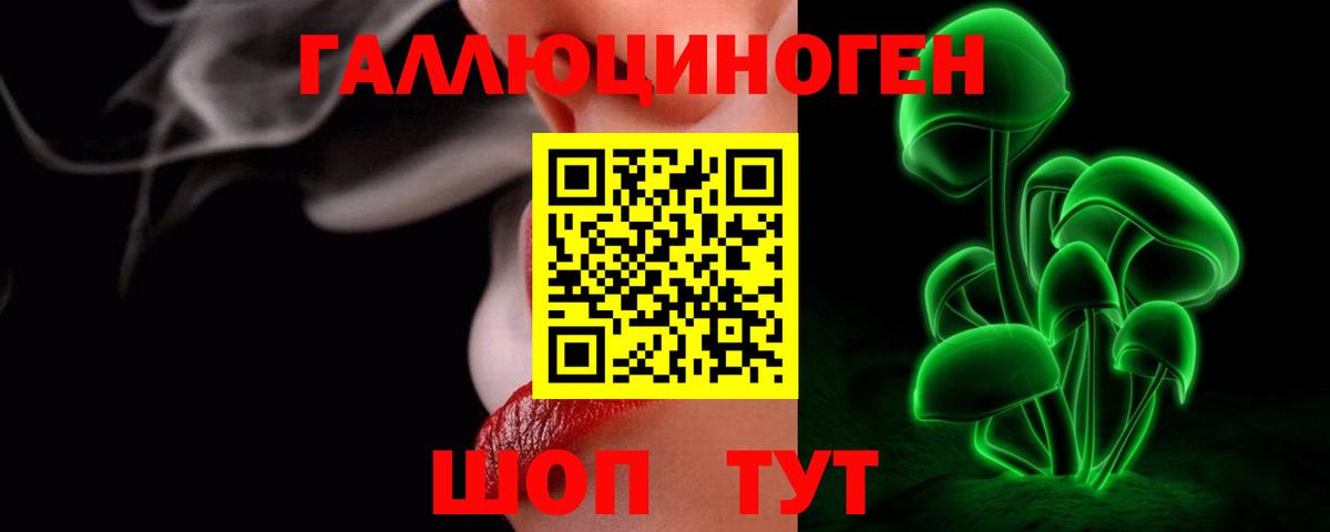 Псилоцибиновые грибы Psilocybe Малгобек